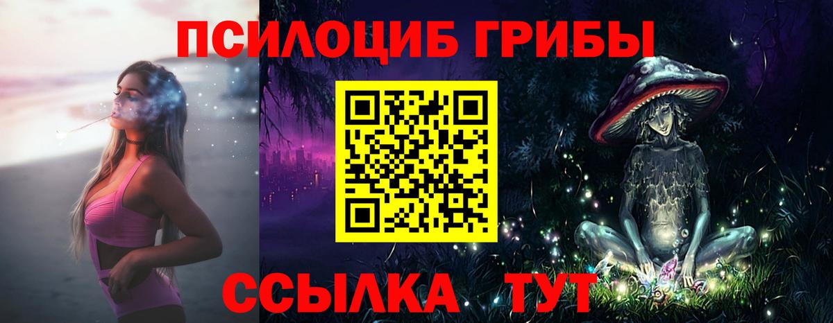 Выкса  Псилоцибиновые грибы GOLDEN TEACHER  Вход с VPN 